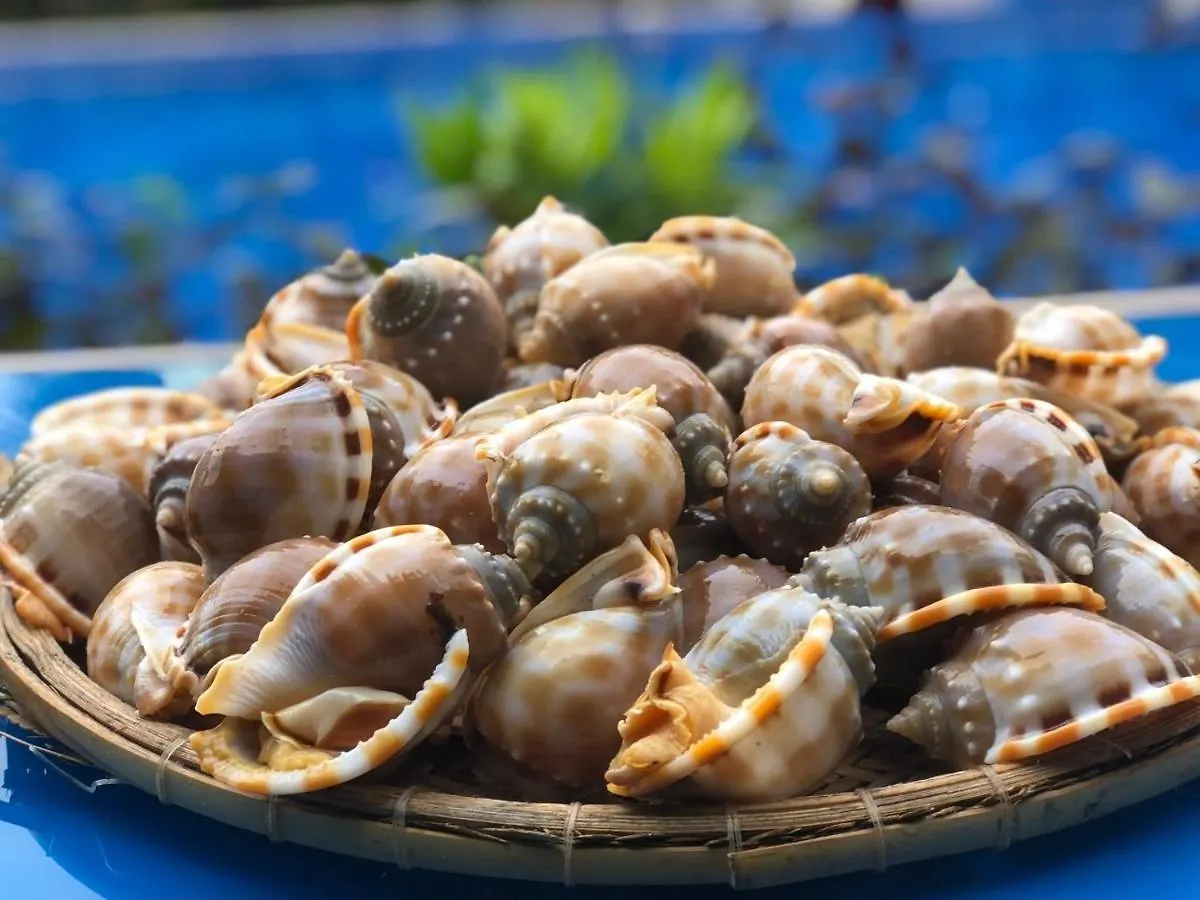 Stop And Go Lang Chai Boutique Resort Phan Thiet Vietnam